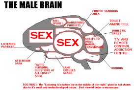 female sexual function Female sexual function